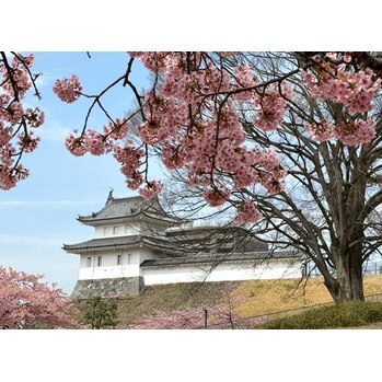 平日お得なクーポン発行中